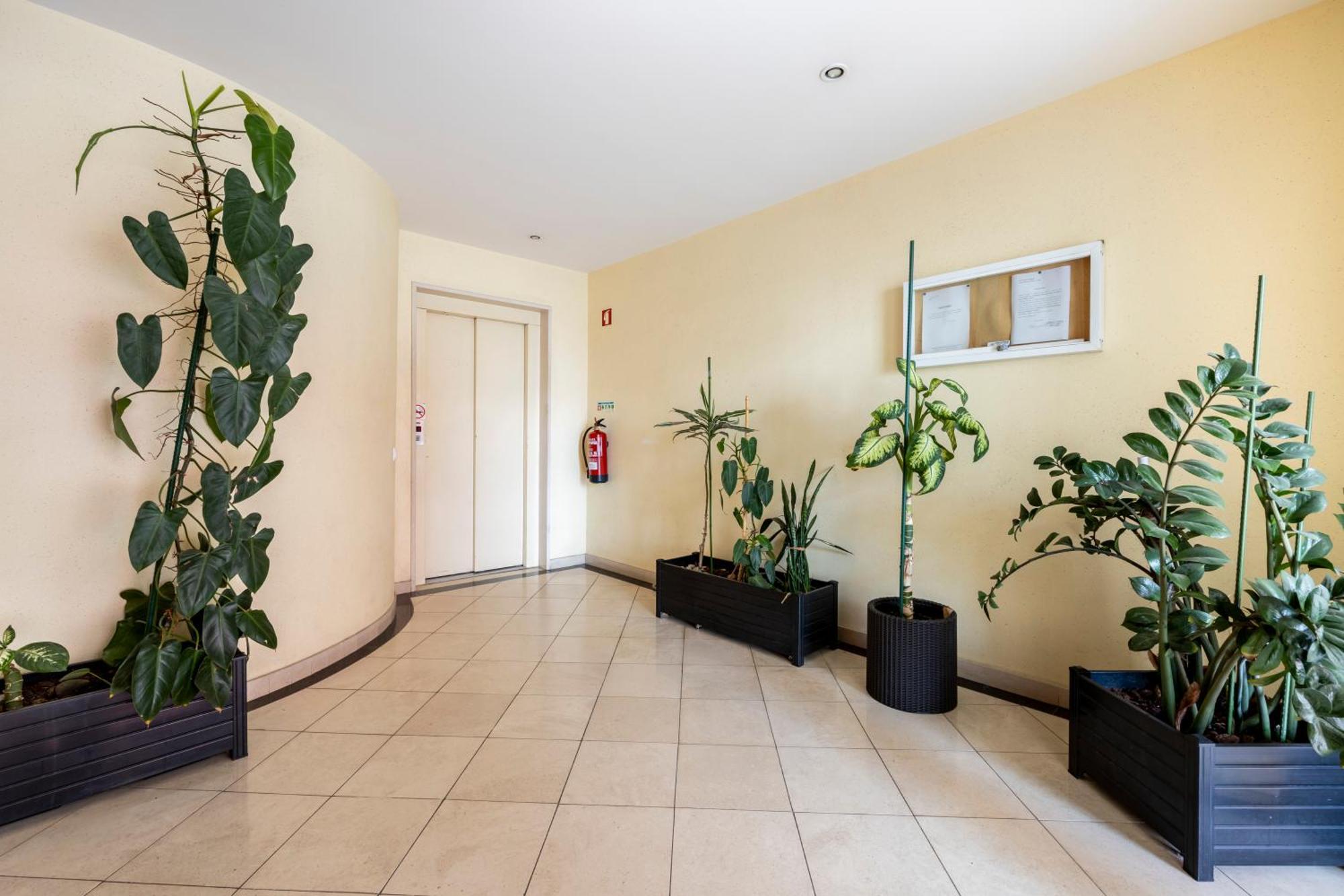 Apartamentos Mira Rio Λάγος Εξωτερικό φωτογραφία